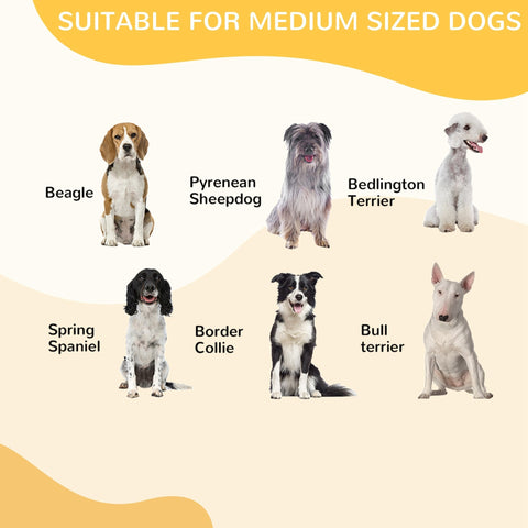 A calm tan and white beagle sits inside a black pawhut 8 panels heavy duty puppy playpen for medium dogs indoor outdoor use
