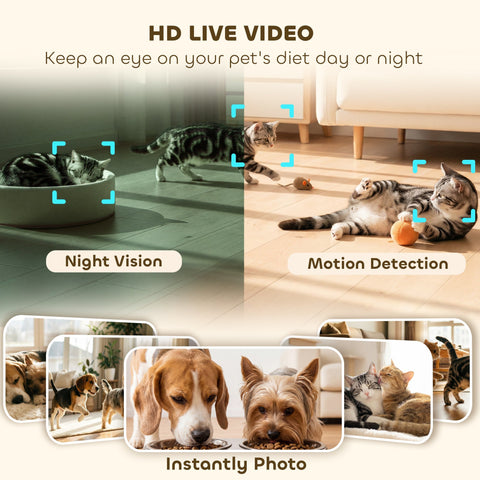 Hd live video pet camera with night vision and motion detection on pawhut automatic cat feeder for 2 cats