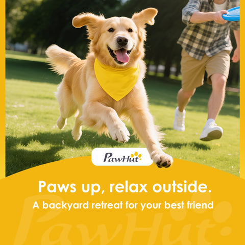 A cheerful golden retriever with a yellow bandana next to a green pawhut automatic dog ball launcher with etpu balls