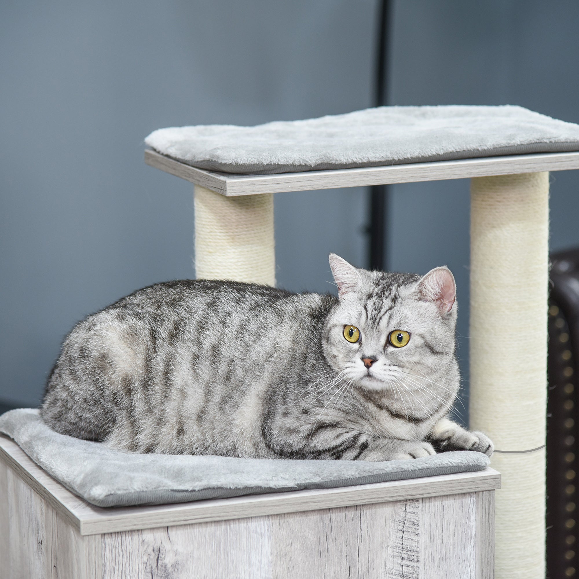 A silver tabby cat lounges on a gray cushion atop a pawhut 113cm cat tree with jute scratching post 60l x 40wcm