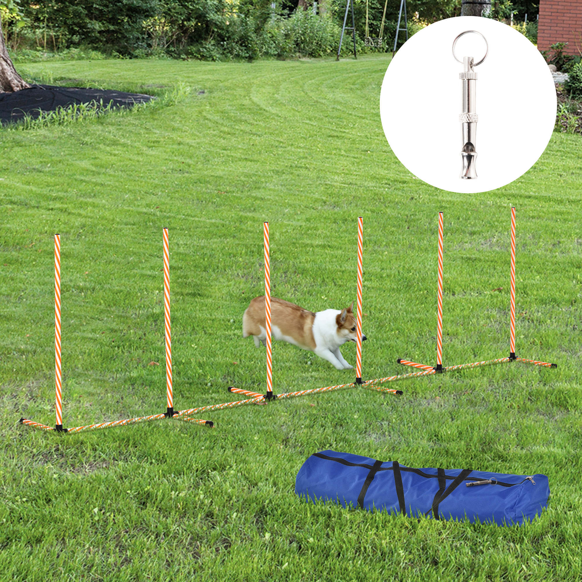 Pawhut dog agility equipment with orange and white striped weave poles on black bases set up on grass for training