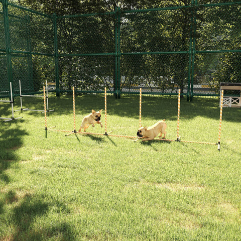 Yellow rope weave poles from pawhut dog agility equipment for outdoor pet training and play obstacle course