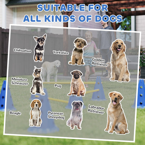 Colorful illustrated dog breed chart with chihuahua and golden retriever for pawhut blue three adjustable jumping obstacles with six cones