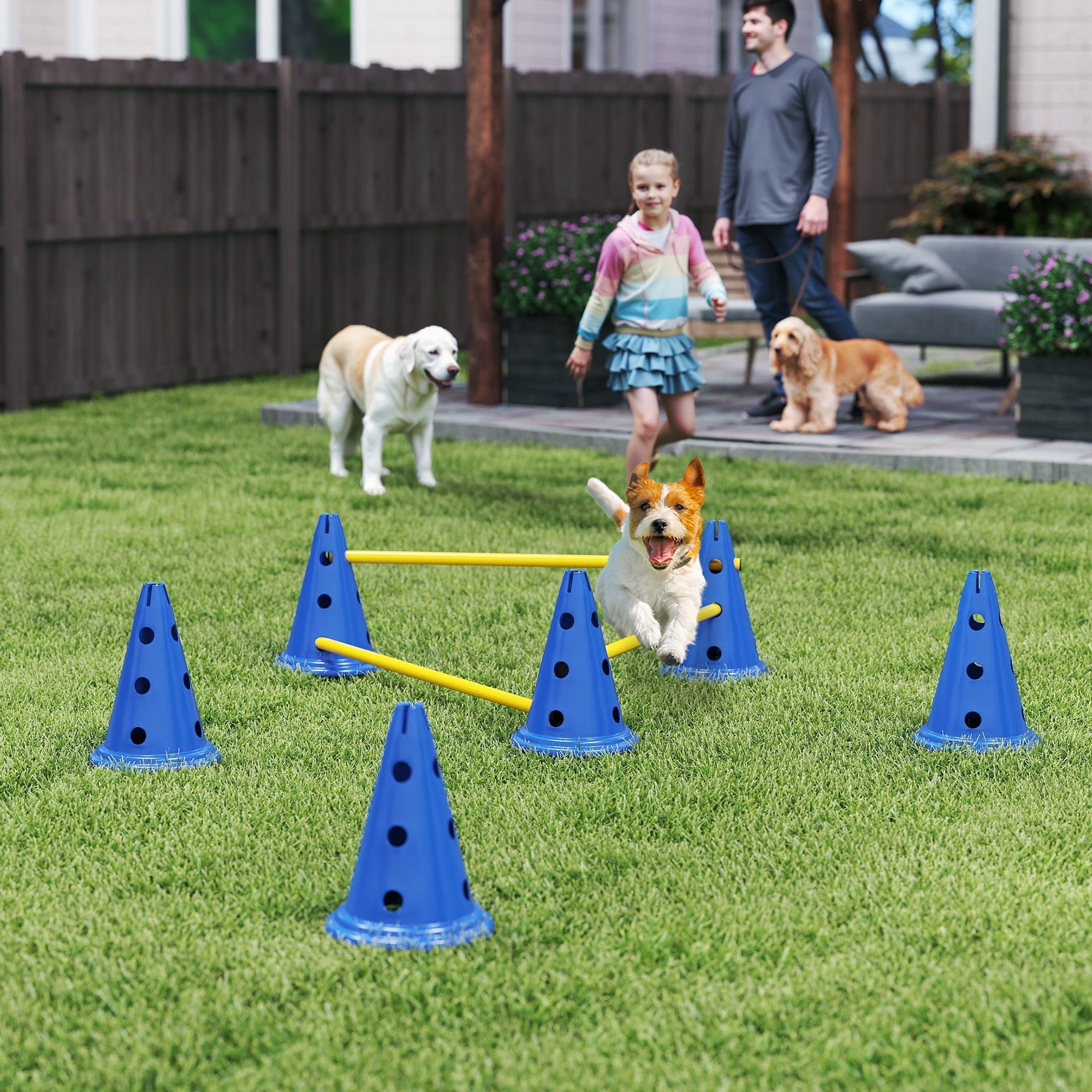 Blue pawhut dog agility set with six cones featuring black holes and three adjustable height jumping poles for easy transport