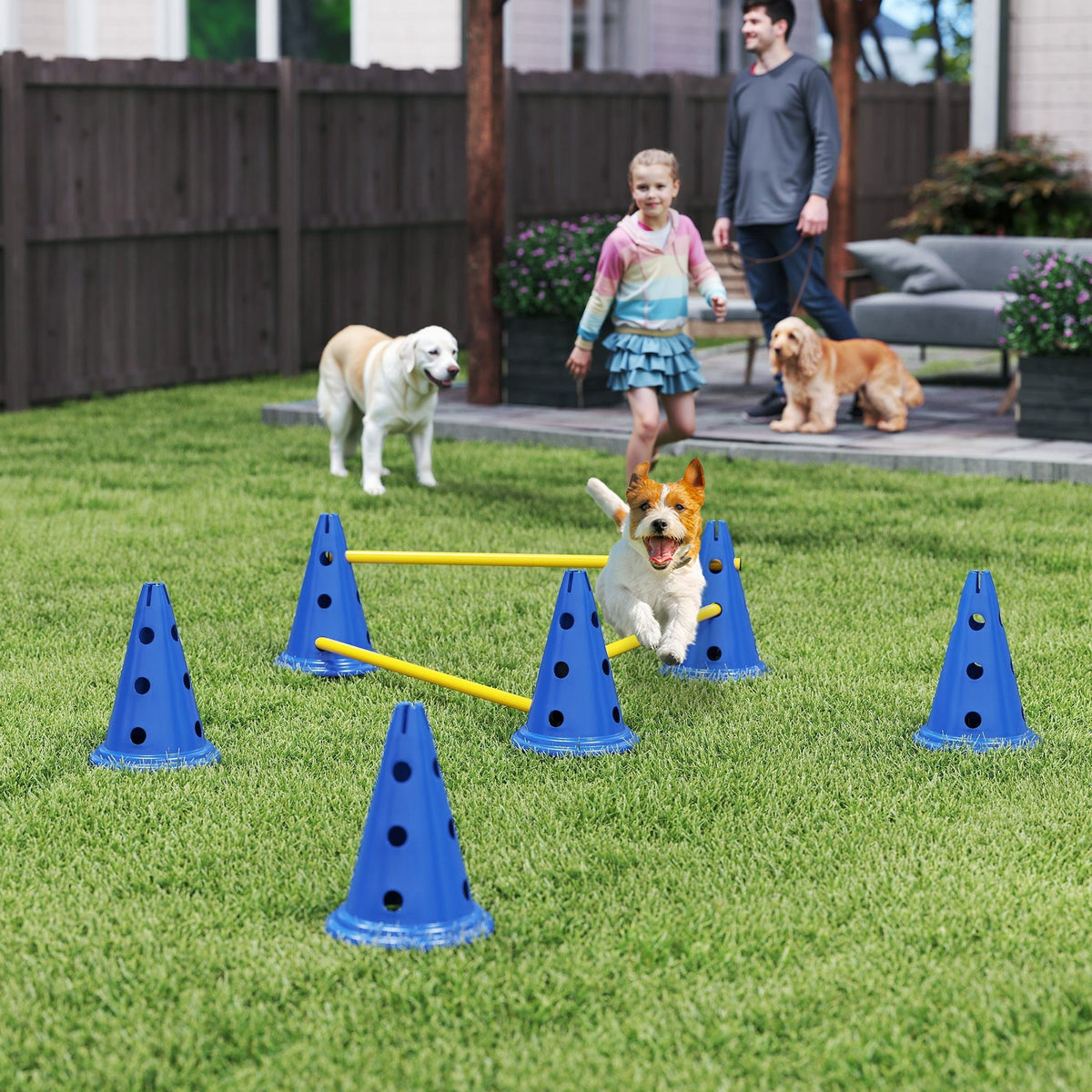 Blue pawhut dog agility set with six cones featuring black holes and three adjustable height jumping poles for easy transport