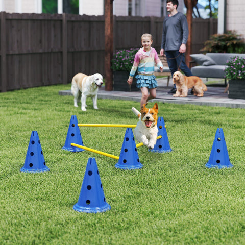 Blue pawhut dog agility set with six cones featuring black holes and three adjustable height jumping poles for easy transport