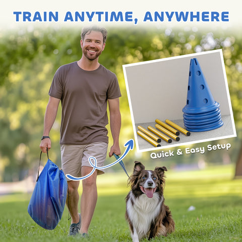 Pawhut dog agility set with six blue plastic cones and three adjustable gold poles for easy transport and training