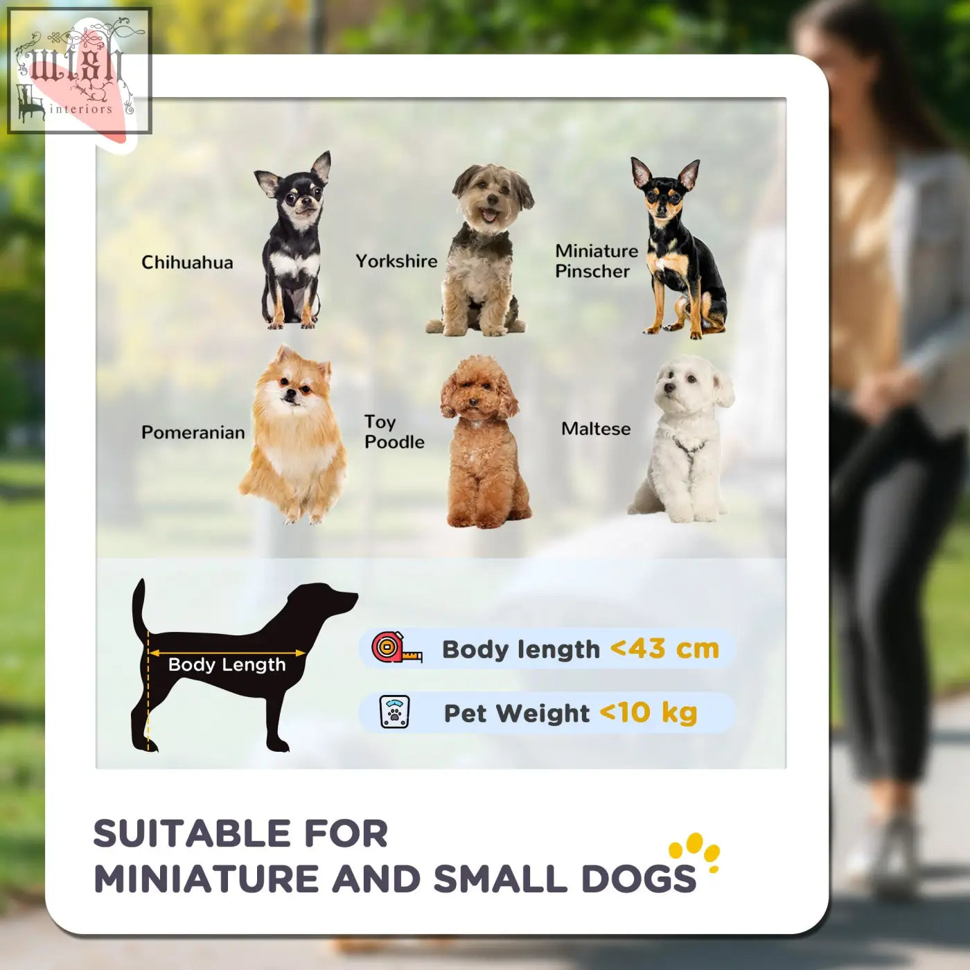 A framed infographic of six small dog breeds for pawhut dog pram with rubber wheels and washable cushion in grey