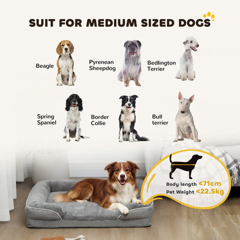 Gray pawhut dog sofa bed with gel memory foam, washable cover, cushioned interior, and non slip bottom for medium dogs