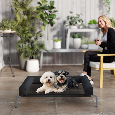Black mesh pawhut elevated dog bed with padded edges and metal legs for indoor and outdoor use