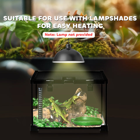 Black glass reptile box with strip patch thermometer and green iguana inside pawhut 30x30x20cm vivarium