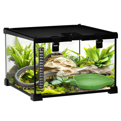 Black-framed glass reptile box with strip patch thermometer and green foliage interior for lizards and snakes