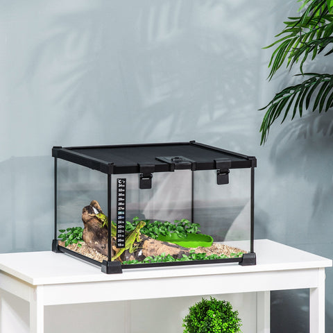 Black-framed glass reptile box with strip patch thermometer housing green iguana on foliage and wood substrate heater