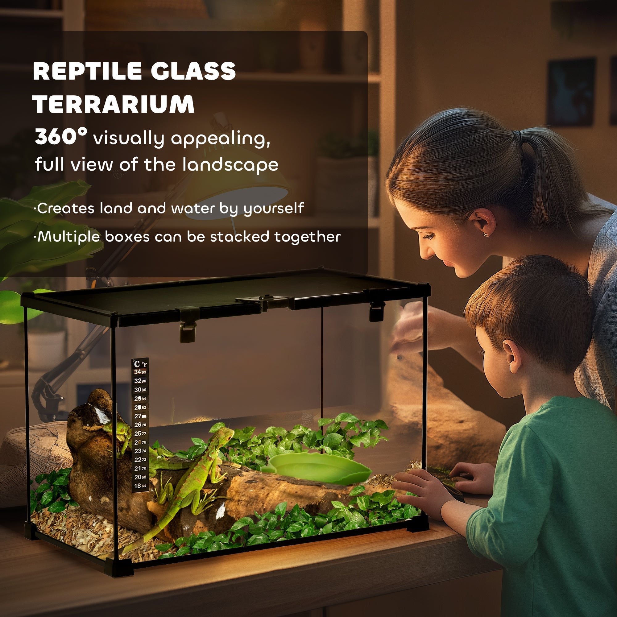 Black-framed glass reptile box with strip patch thermometer housing green iguana and substrate heater elements