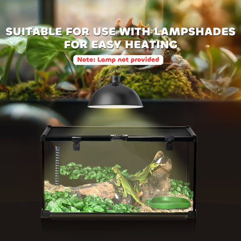 Black rectangular glass reptile box with strip patch thermometer housing green lizards on mossy substrate heater setup