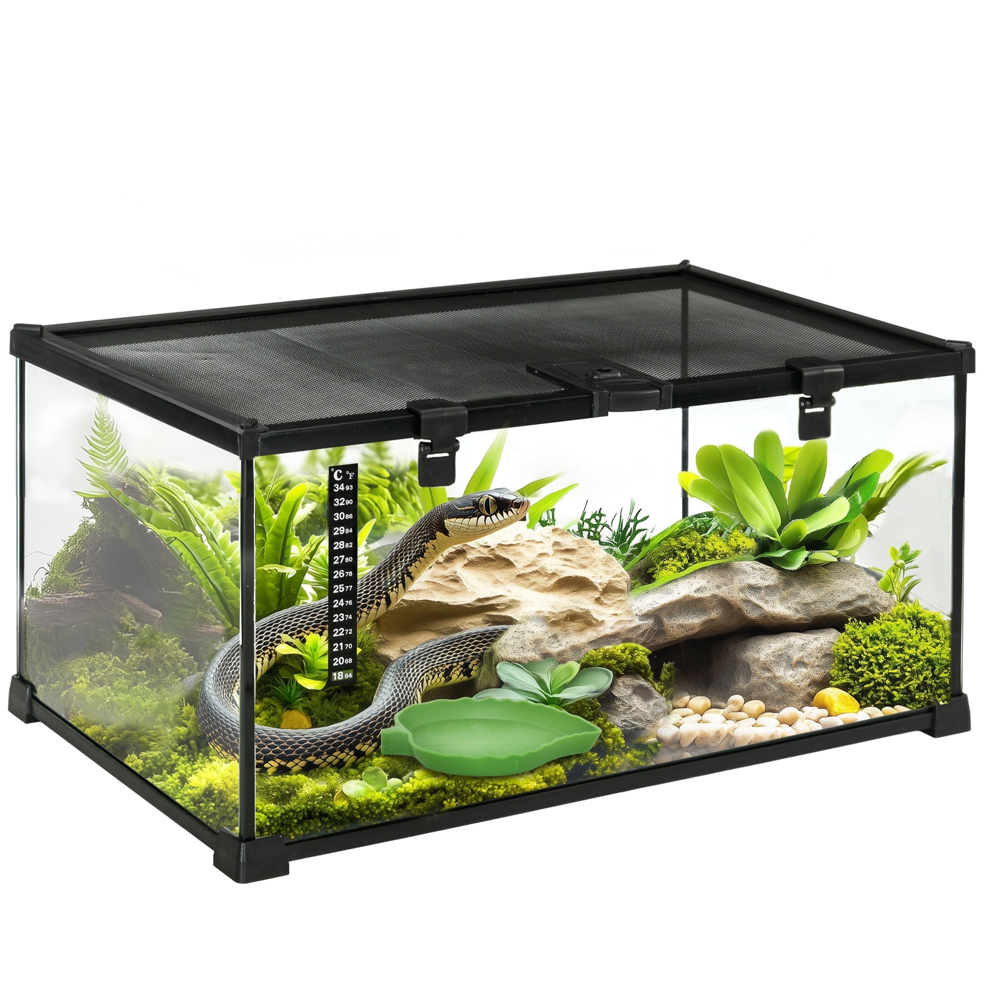 Black-framed glass reptile box with strip patch thermometer and substrate heater housing green snake on moss and rocks