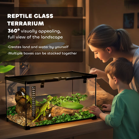 Black-framed pawhut glass reptile box with clear sides, strip patch thermometer, green plants, and lizard inside