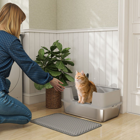 Gray plastic cat litter box with raised front edge and stainless steel litter tray for easy cleaning and odor control