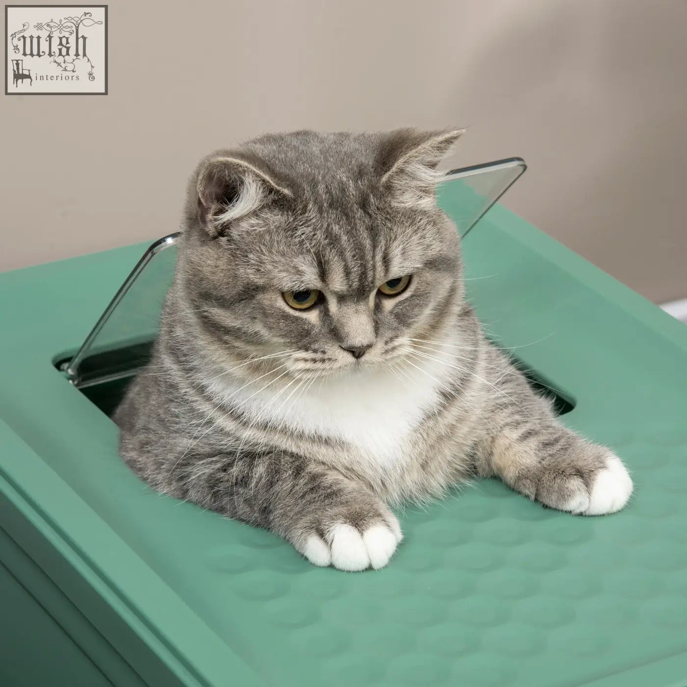 A gray tabby cat lounges inside a green pawhut hooded cat litter box with high edges and front entry for easy use
