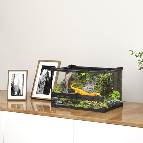 Black-framed glass terrarium with knob lock to prevent escapes housing a vibrant yellow newt on moss and rocks