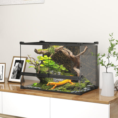 Black pawhut glass terrarium with knob lock and stone background housing vibrant orange lizard on green moss