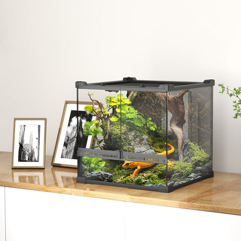 Black-framed glass terrarium with knob lock to prevent escapes featuring moss and rocks for an orange salamander habitat