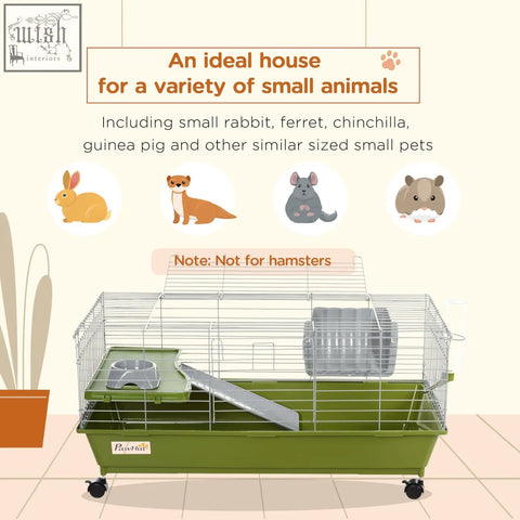 Green metal small animal cage with solid base black wheels ramp food dish exercise wheel and water bottle