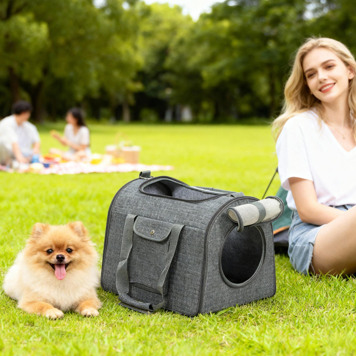 Gray fabric pawhut soft sided cat carrier bag with black trim and circular entrance perfect for pocket size use