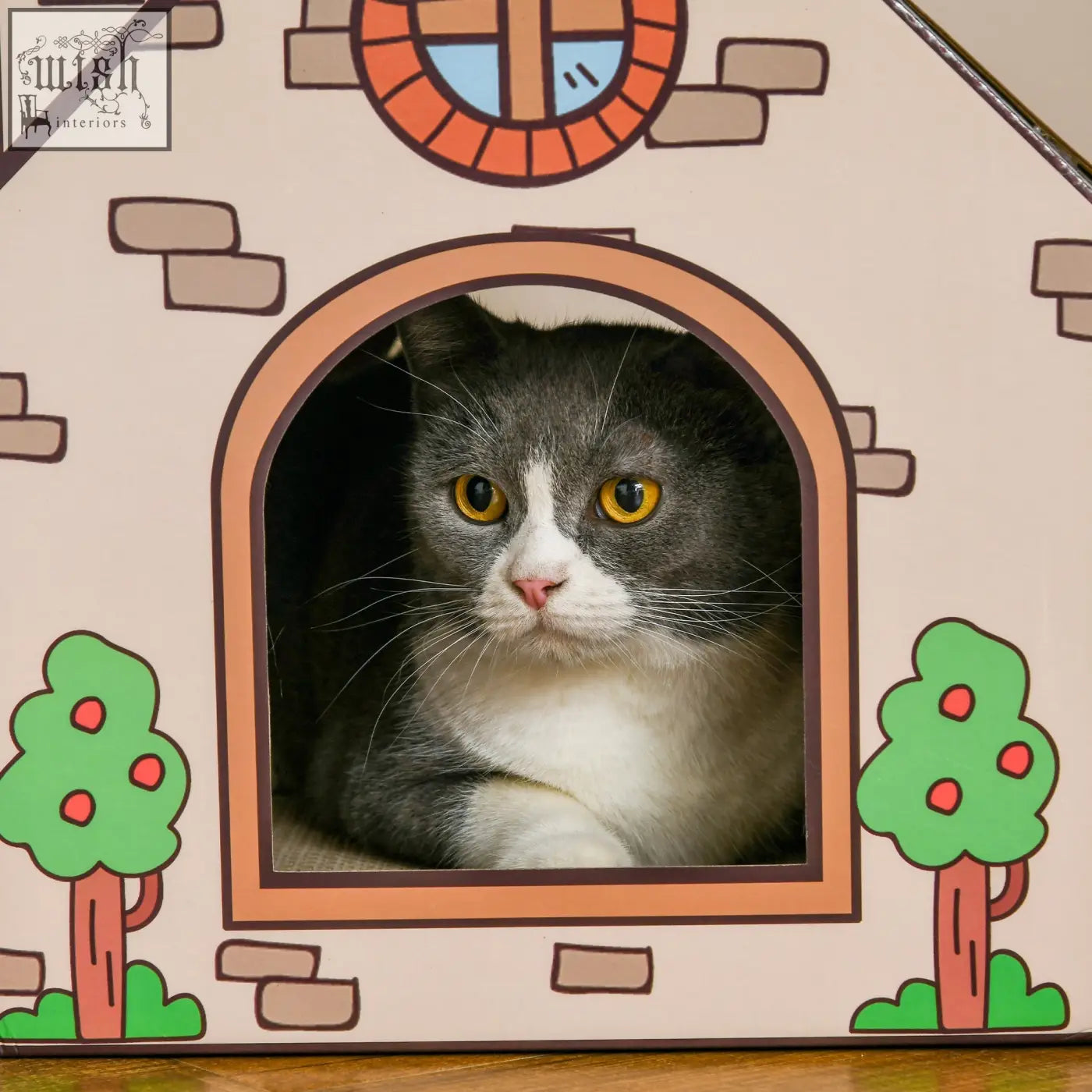 Gray and white cat with yellow eyes peeking from pawhut two-in-one cat house with cardboard scratching board