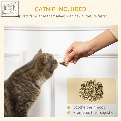 A small clear plastic packet of dried green and brown catnip for pawhut two-in-one cat house scratching board