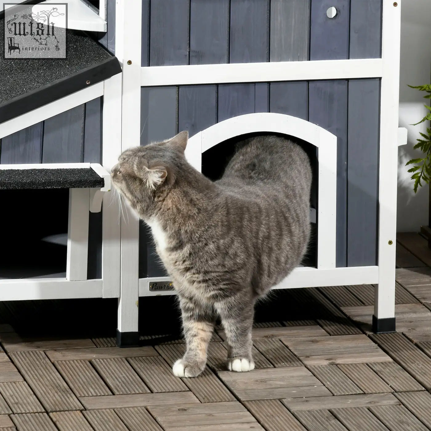 Gray tabby cat standing outside blue and white pawhut wooden cat house with flower box and multiple entrances