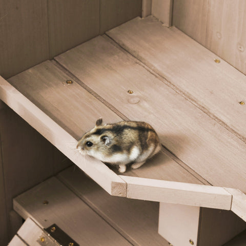 A fluffy hamster sits on a wooden platform inside a natural wood hamster cage with two huts and two openings