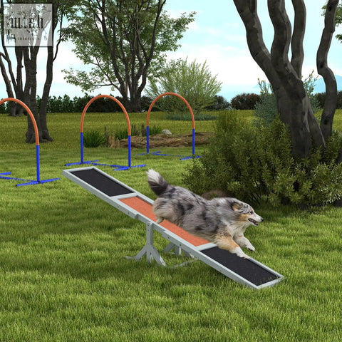 A gray and white australian shepherd leaps on a red and black pawhut wooden pet seesaw made of fir wood with anti slip surface