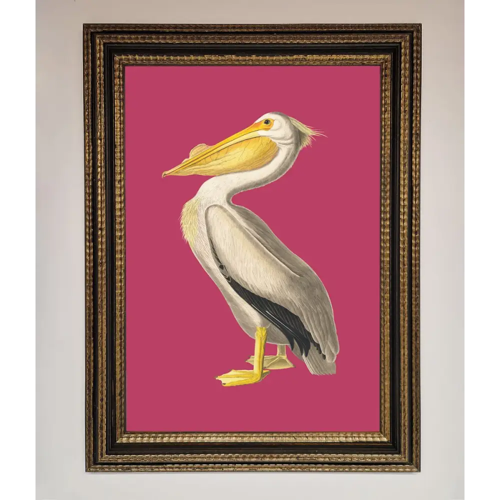 Pelican On Pink Framed Poster - A3 (29.7 x 42 cm) / Ornate Gold Black - Framed Print