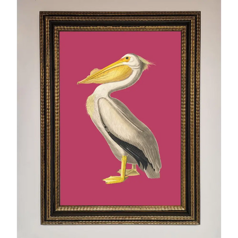 Pelican On Pink Framed Poster - A3 (29.7 x 42 cm) / Ornate Gold Black - Framed Print