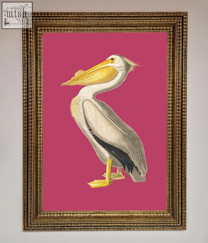 A pink framed poster featuring a white pelican with yellow beak and feet on a vibrant pink background