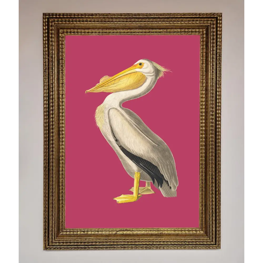 Pelican On Pink Framed Poster - A3 (29.7 x 42 cm) / Ornate Gold - Framed Print