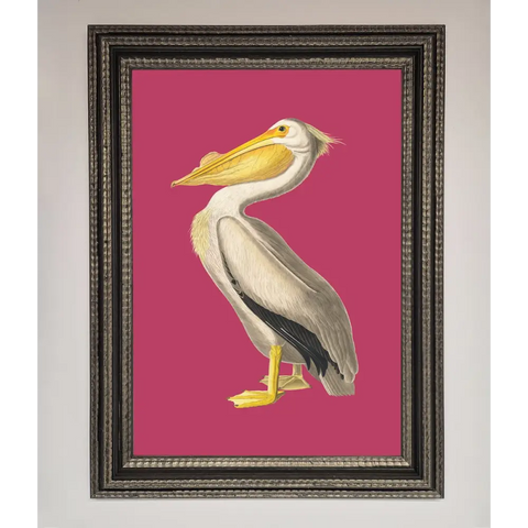 Pelican On Pink Framed Poster - A3 (29.7 x 42 cm) / Ornate Silver Black - Framed Print
