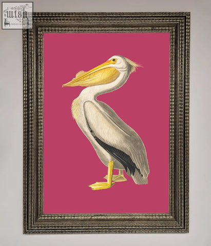 A pink framed poster featuring a detailed illustration of a white pelican with yellow beak and feet on pink background