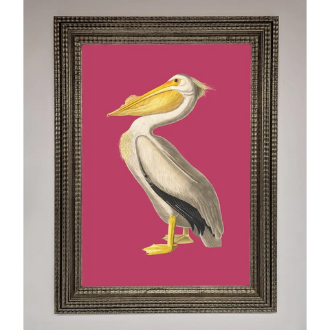 Pelican On Pink Framed Poster - A3 (29.7 x 42 cm) / Ornate Silver - Framed Print