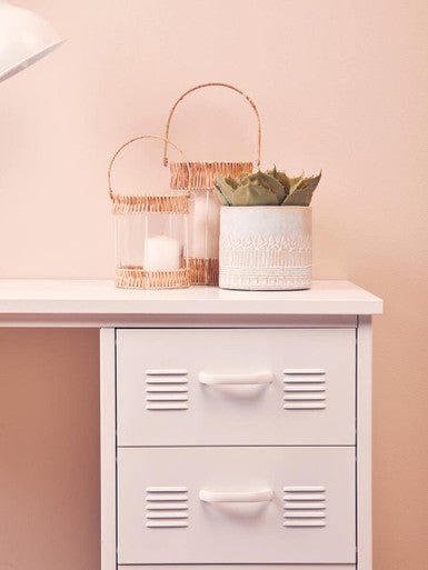 White ceramic petra small planter with embossed tree pattern holding a green succulent small planter for decor