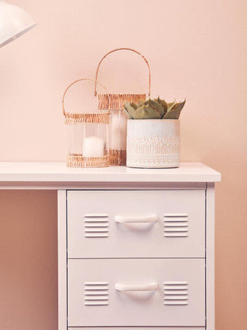 White ceramic petra small planter with embossed tree pattern holding a green succulent small planter for decor