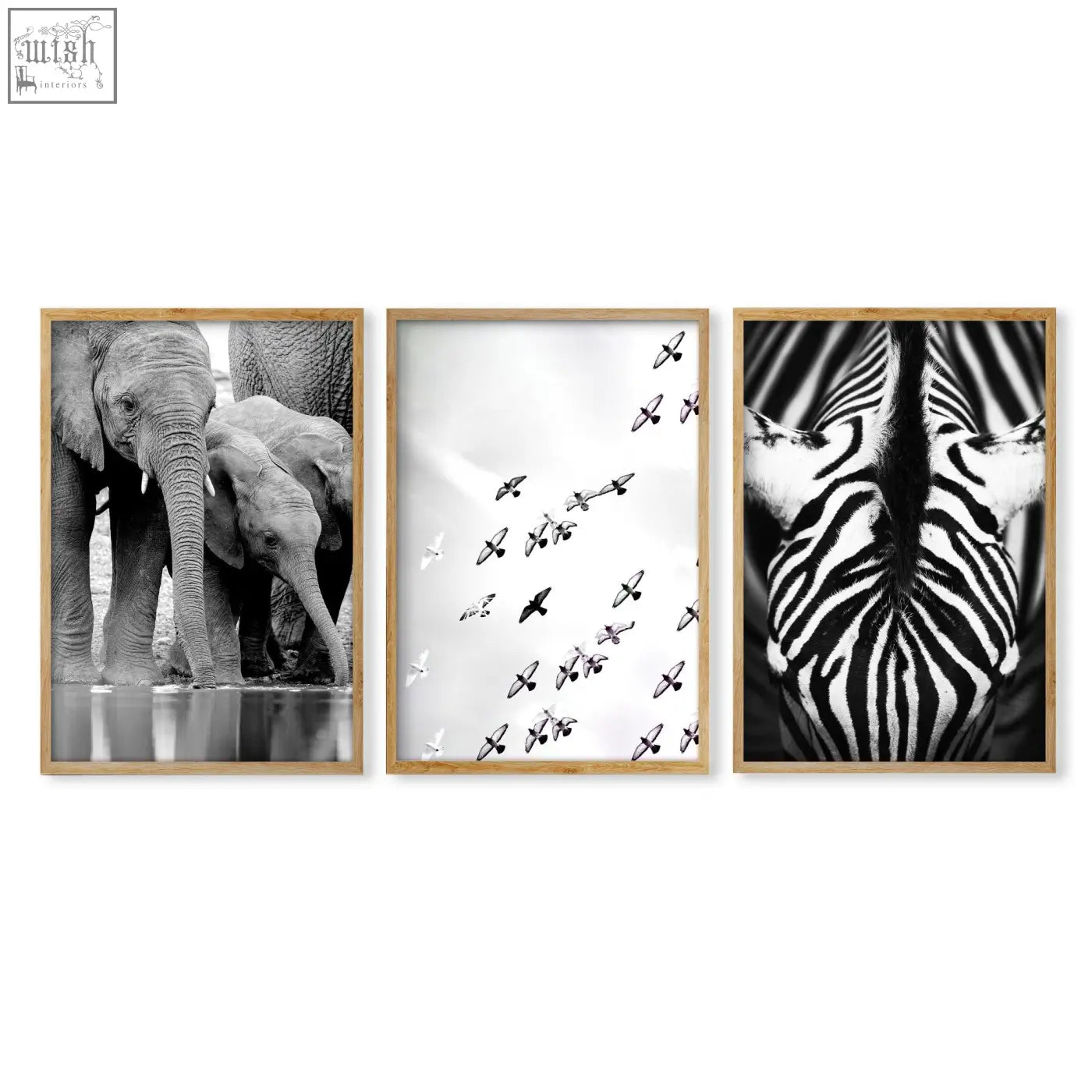 Set of three black and white wildlife safari art prints featuring elephants birds and zebra for living room wall decor