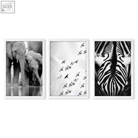 Set of three black and white framed wildlife safari art prints featuring elephants birds and zebra for living room wall