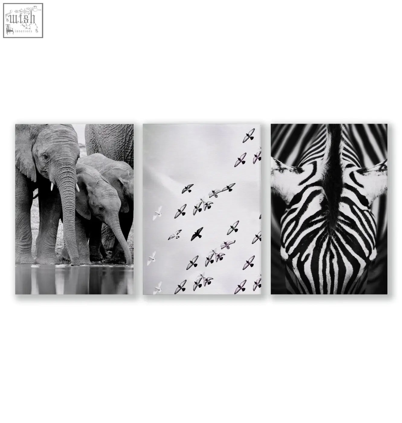 Set of three black and white wildlife safari art prints featuring elephants birds and a zebra for living room wall decor