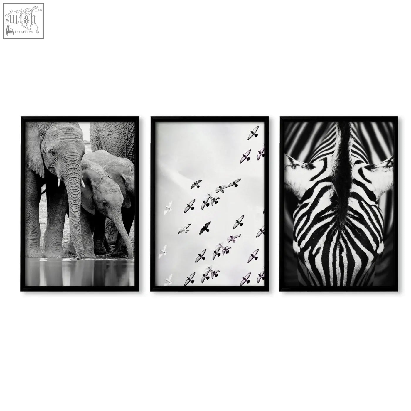 Set of three black-framed black and white wildlife art prints featuring elephants birds and zebra for living room wall