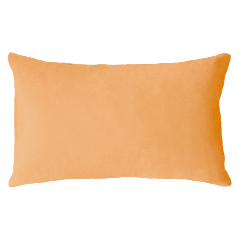 Scorpio Season Needlepoint Cushion