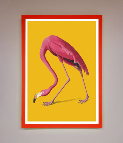 Pink Flamingo On Yellow Framed Print