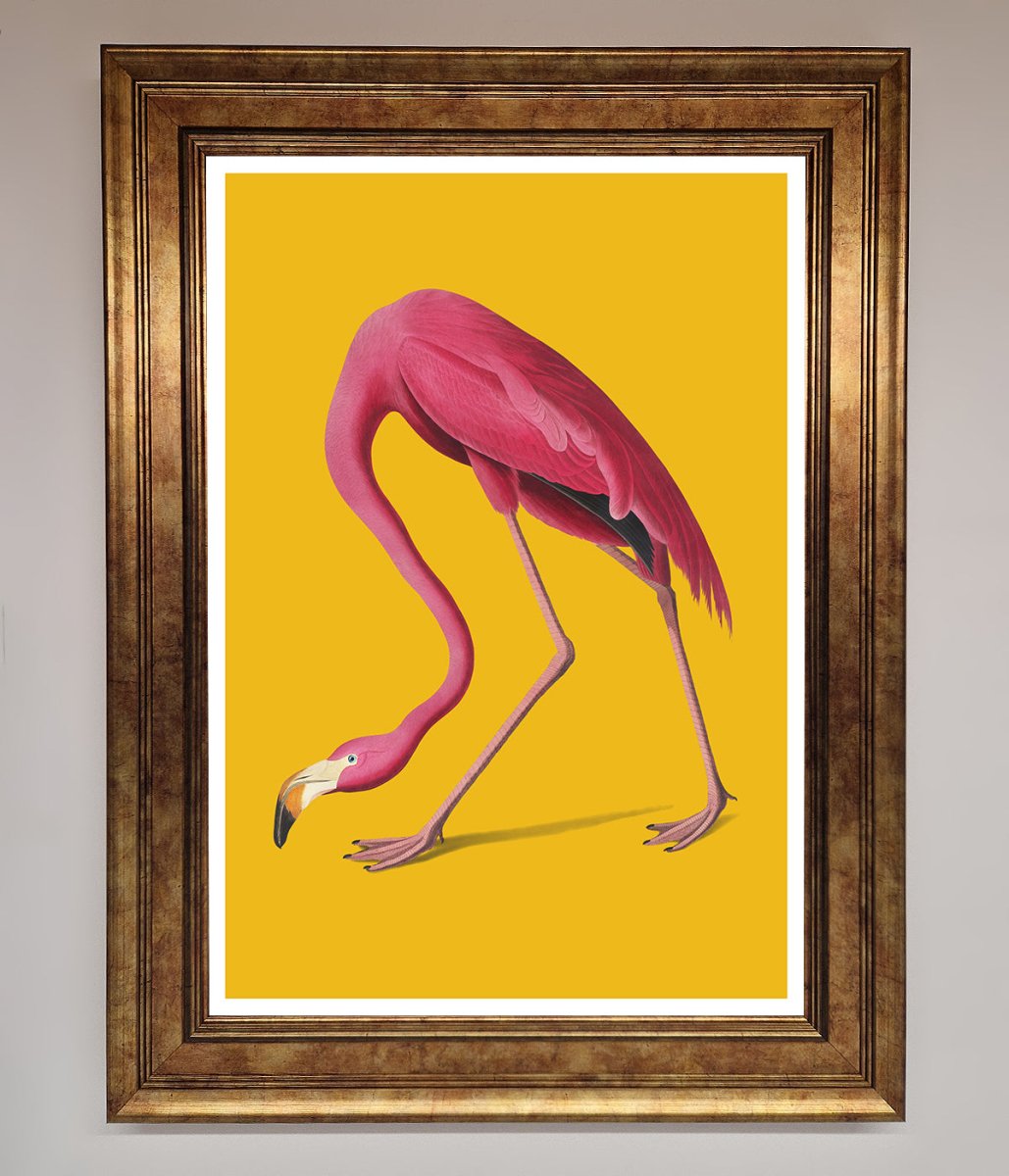 Pink Flamingo On Yellow Framed Print