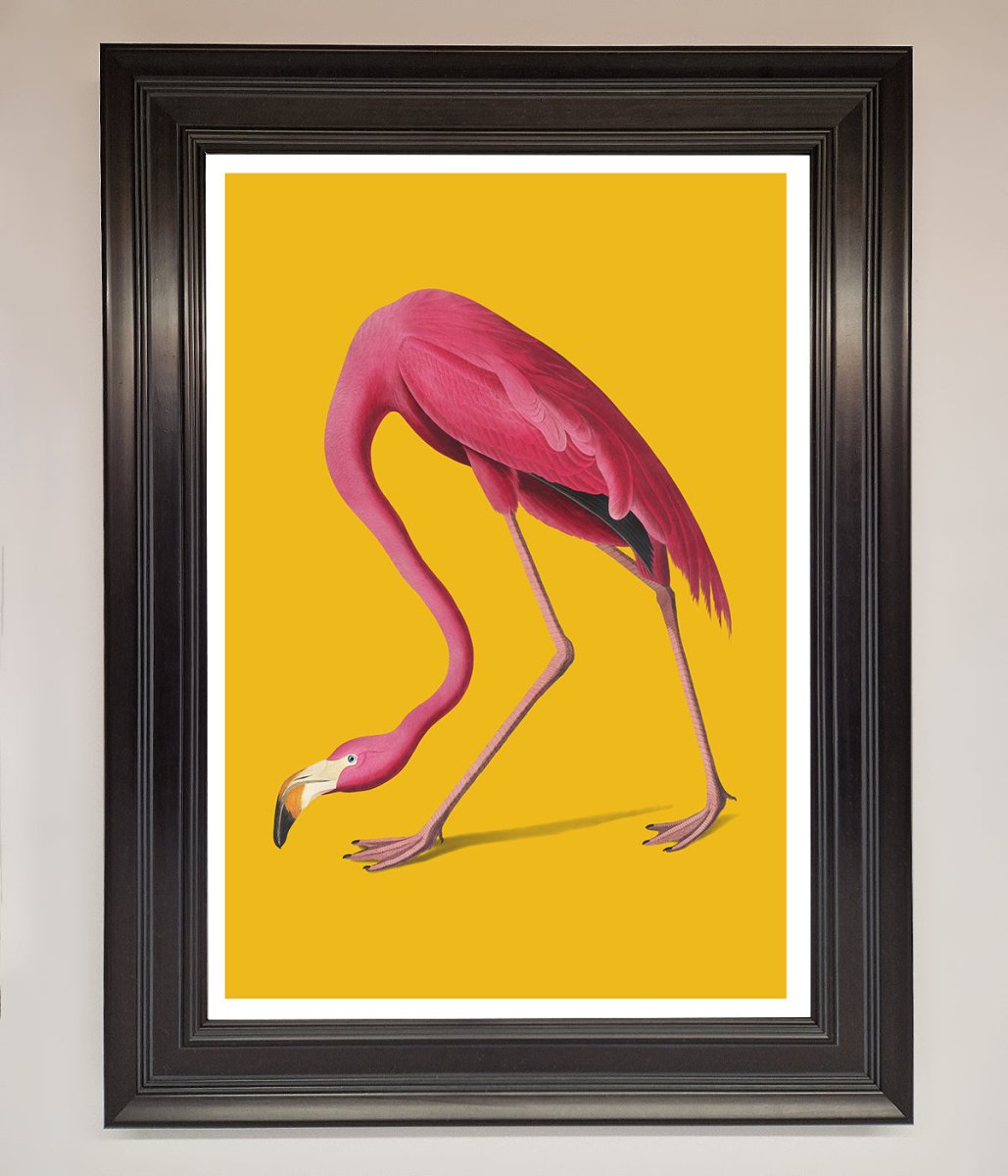 Pink Flamingo On Yellow Framed Print